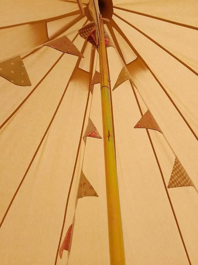 Holiday home 5M Xl Bell Tent With Log Burner Near Whitby Saltburn-by-the-Sea